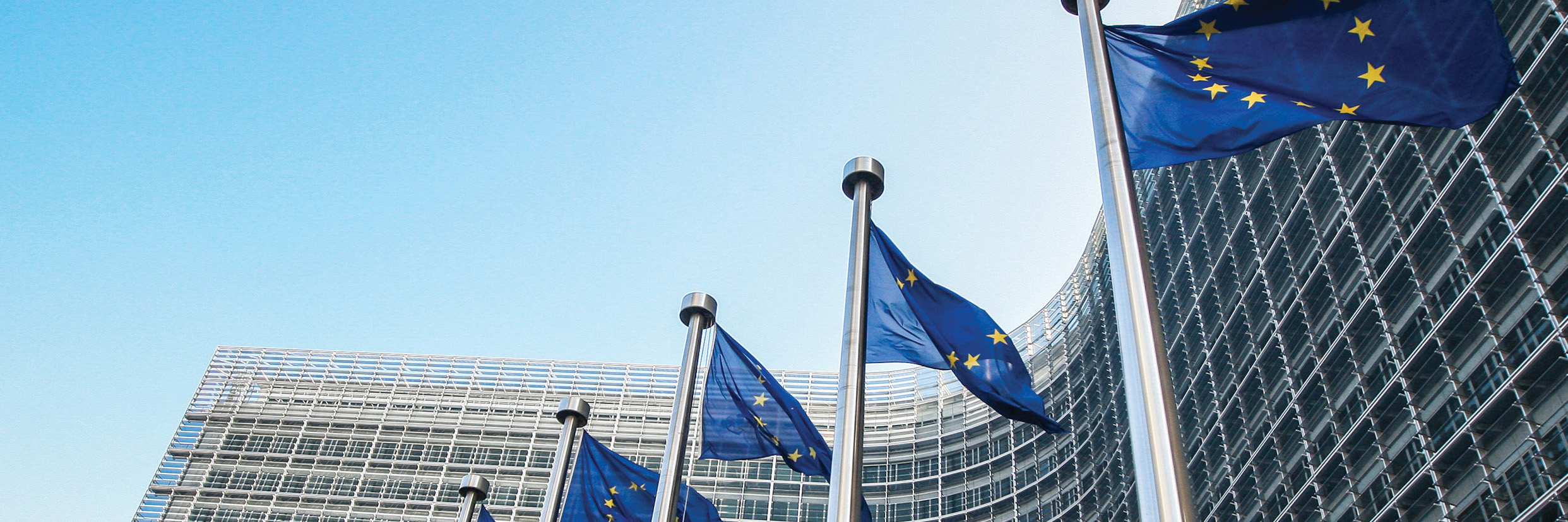 EuropeanParliament_WebBanner.jpg